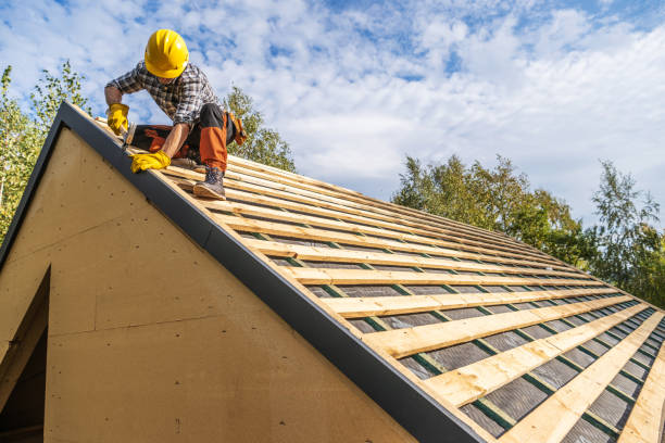 Best Roof Gutter Cleaning  in Franklin, GA